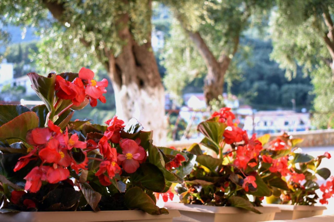 Gallery Suites Parga Eksteriør billede